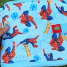 1ce6df77-95e9-49f6-89e8-b82c168c4406