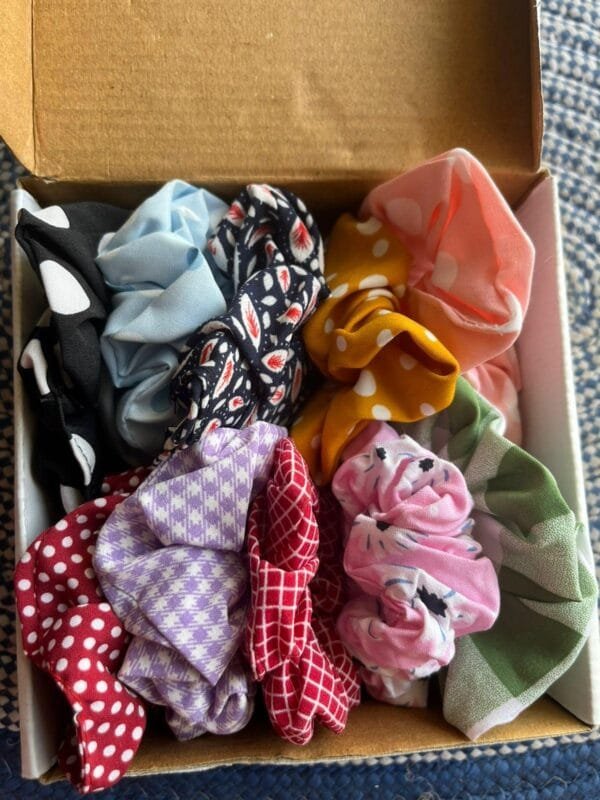 Box of 10 Cotton Scrunchies