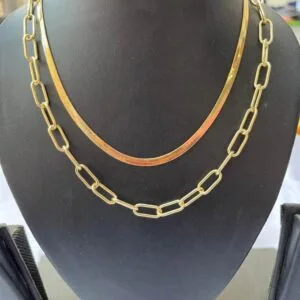 2 Layered Snake Necklace