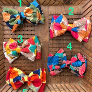 Multi Color dual Bow Clips