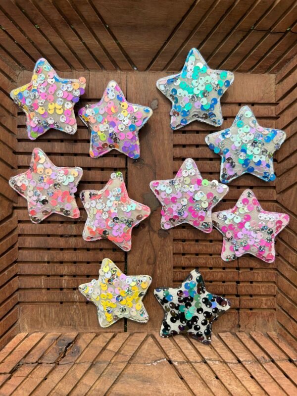 Sequin Star Hair Clip Pair