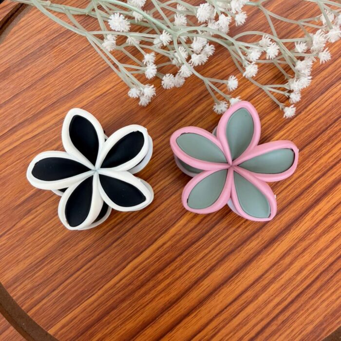 WhatsApp Image 2025-10-28 at 2.52.52 PM (1) WhatsApp Image 2025-10-28 at 2.52.52 PM (1)