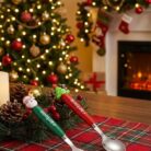 WhatsApp Image 2025-11-28 at 3.36.23 PM