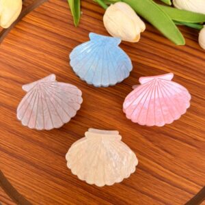 Shell Acrylic Hair Claw