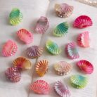 WhatsApp Image 2026-01-28 at 02.53.25