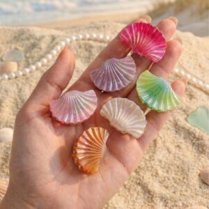 Holographic Shell Hair Claws (Pack of 6)